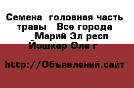 Семена (головная часть))) травы - Все города  »    . Марий Эл респ.,Йошкар-Ола г.